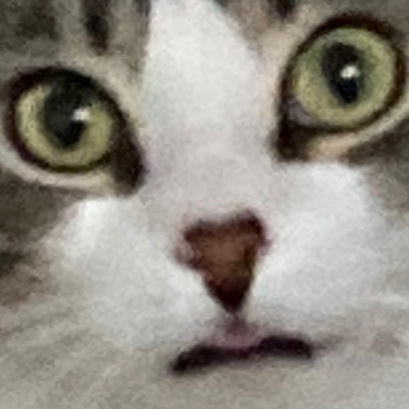 madzillachilla